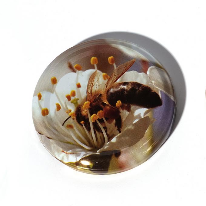 Logo tùy chỉnh 38mm 43mm 48mm 53mm 58mm 63mm 70mm 82mm Golden Screw Caps Metal Lug Cap cho Glass Jar 12
